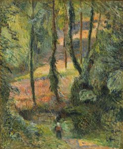 Sottobosco